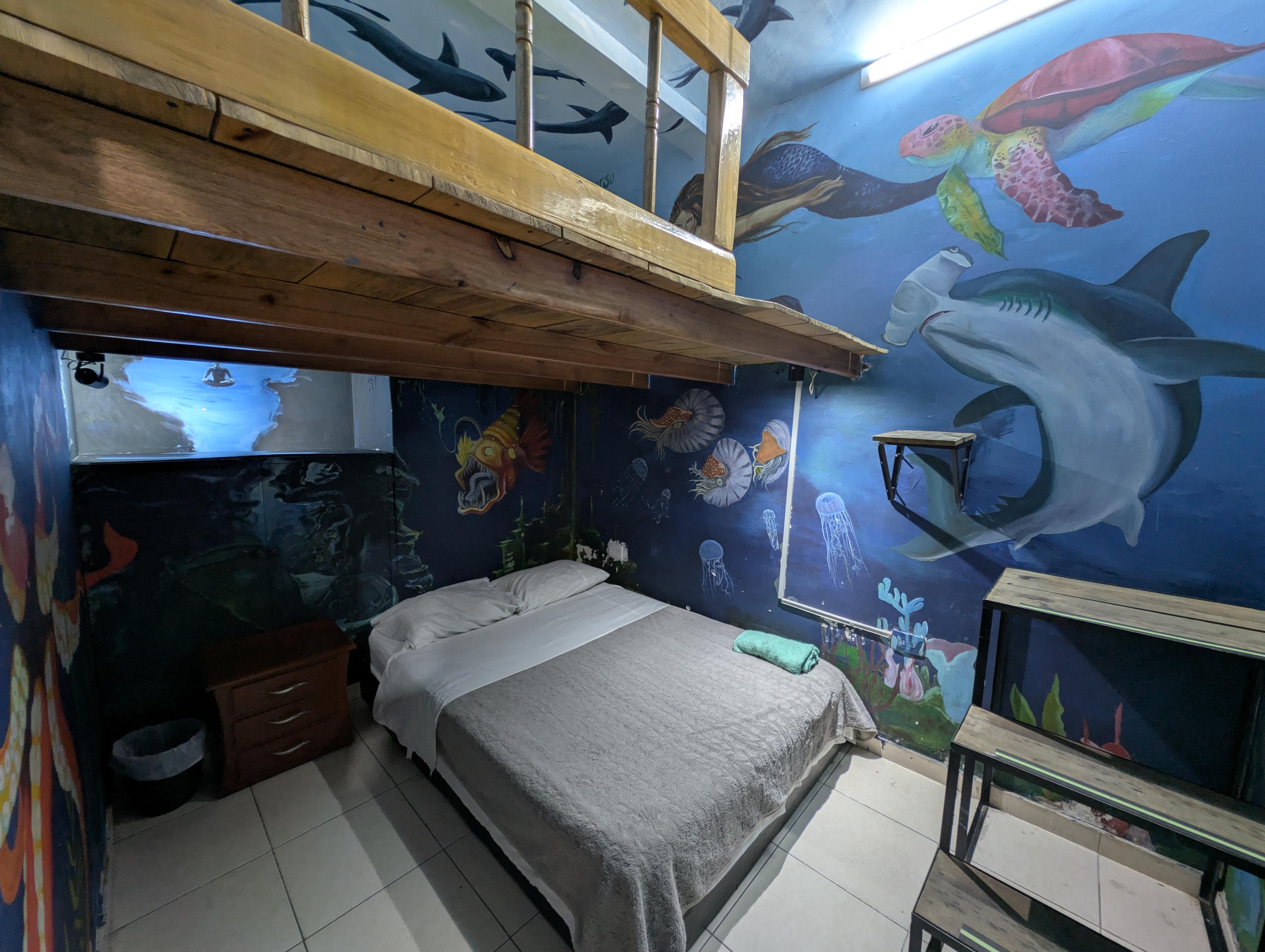 Zona de literas del hostel