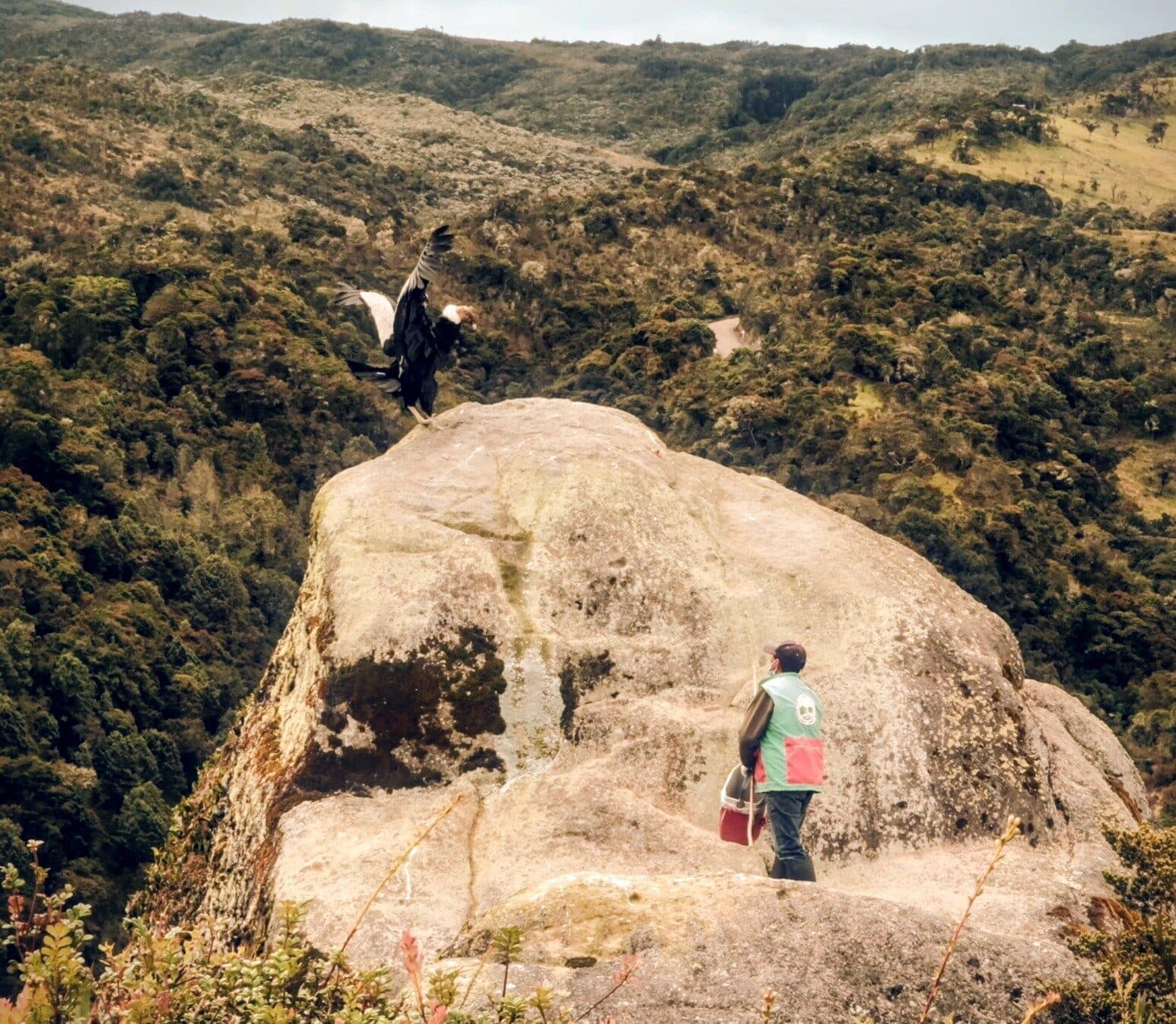 Naturaleza de Purace