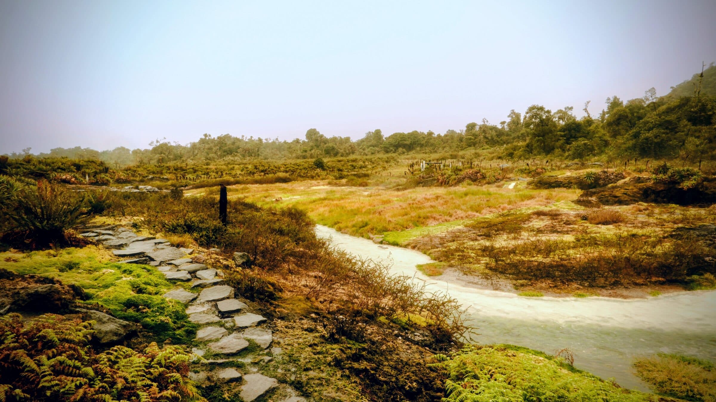 Paisajes del Parque Nacional Natural Purace