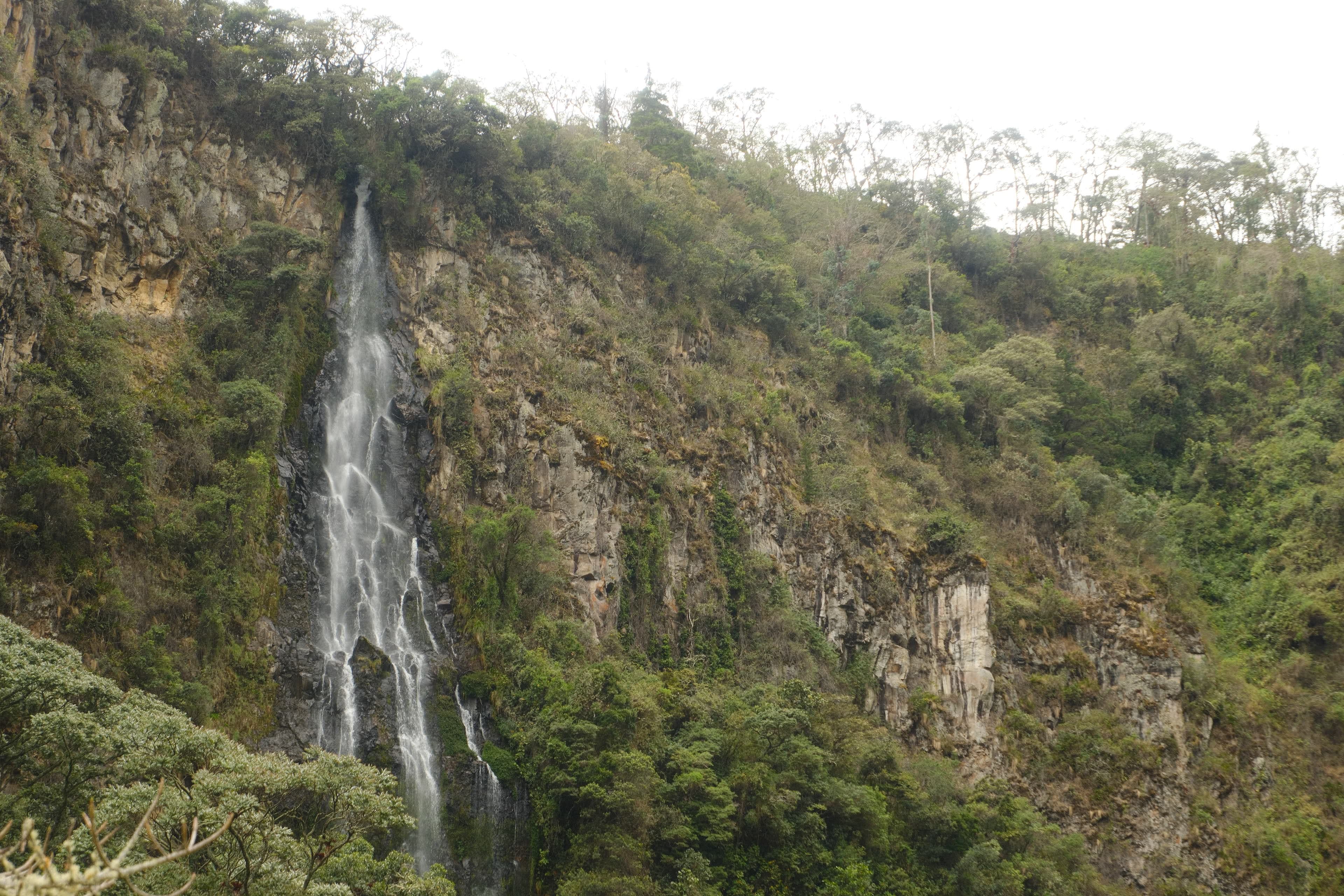 Naturaleza con estructura clara