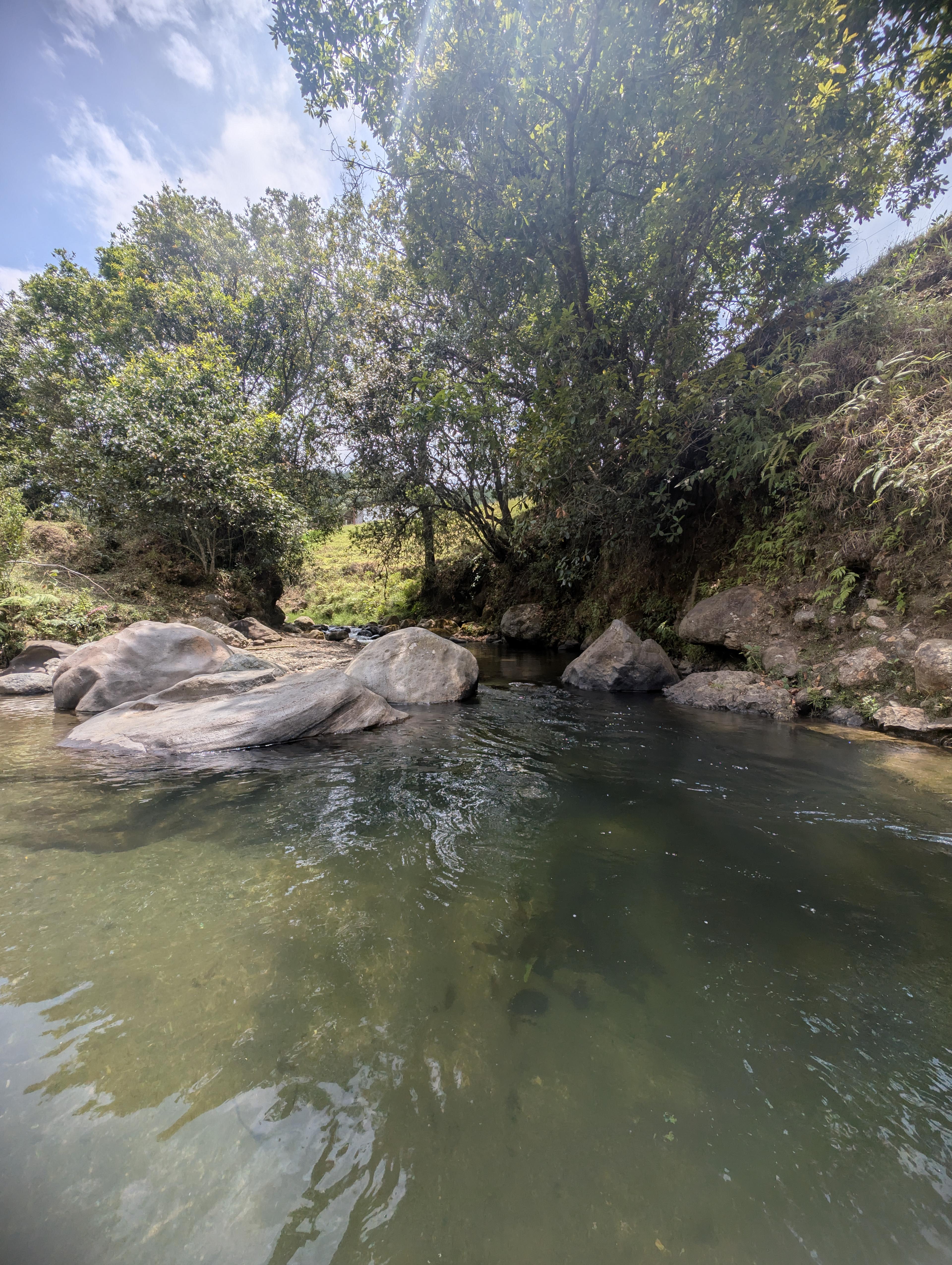 RÃ­o de los Dos Brazos en Finca Buenavista 2