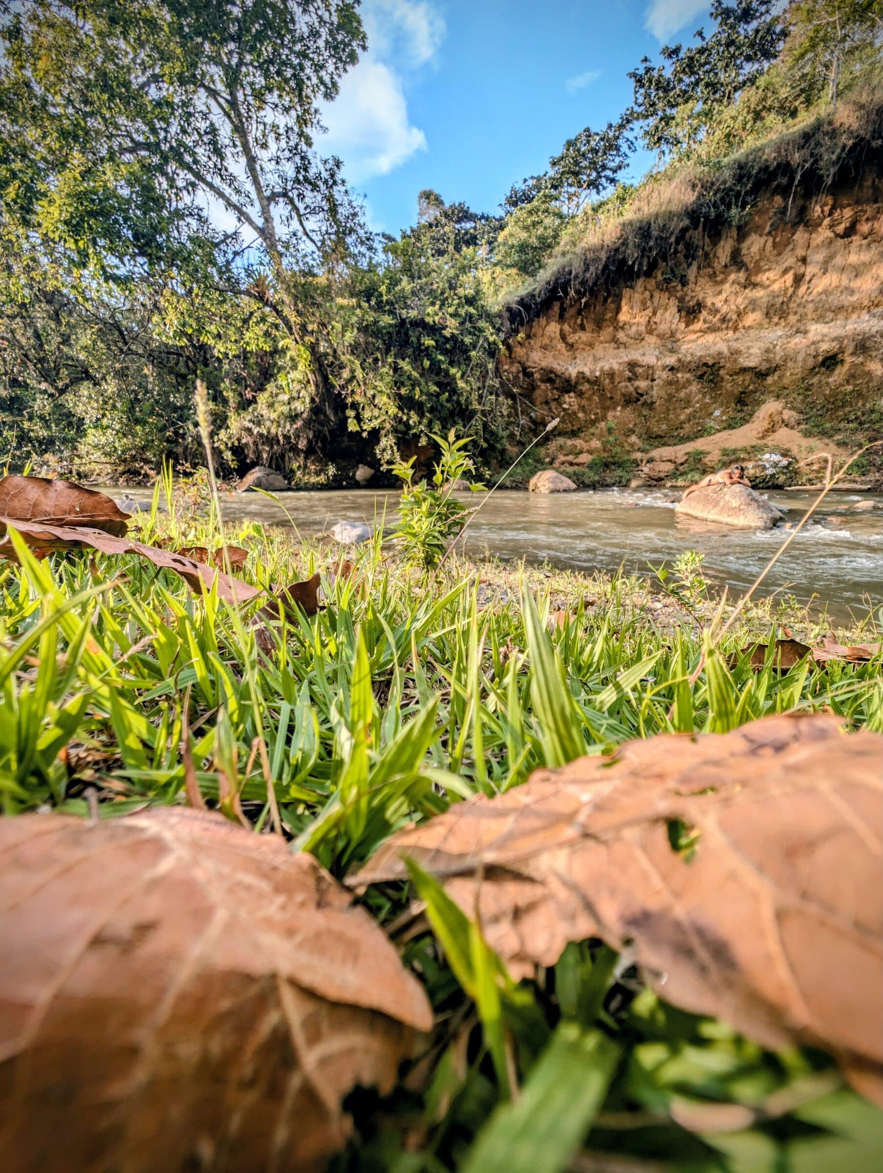 Naturaleza alrededor del rio