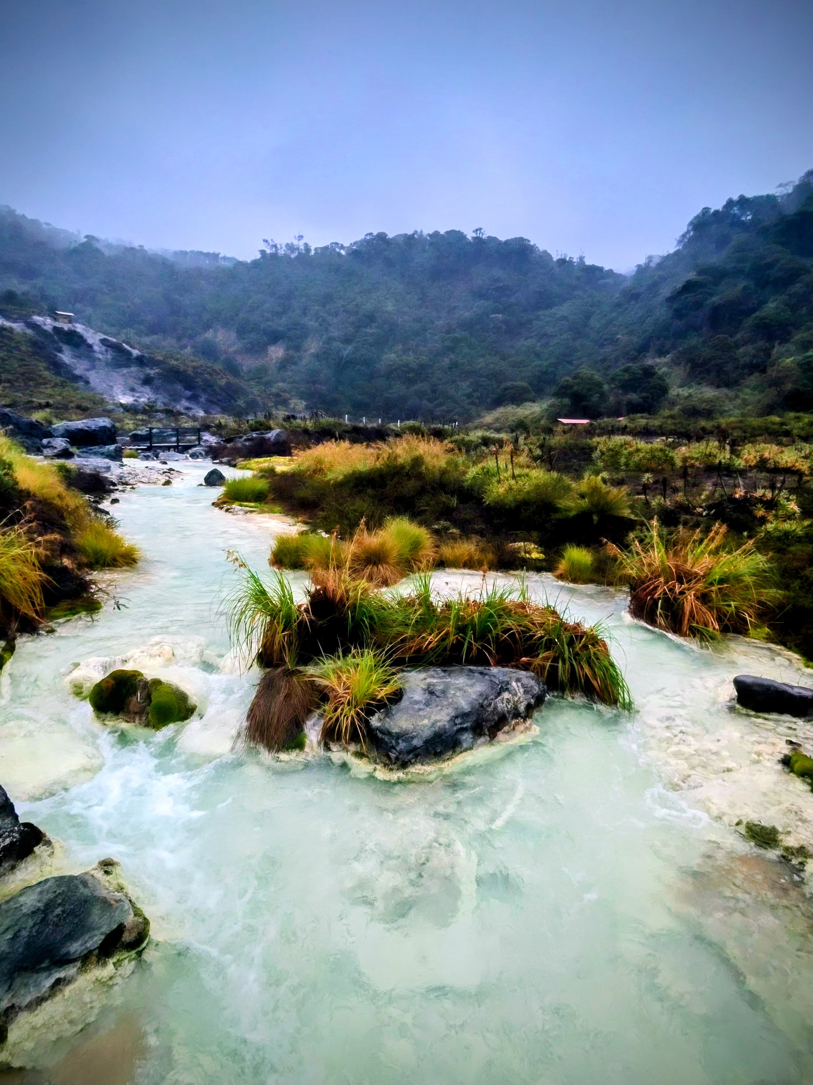 Tambien ayuda a vender Coconuco